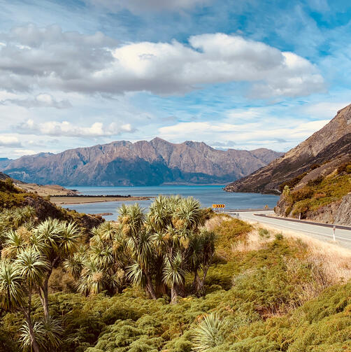 Nature Neuseeland Nature Neuseeland